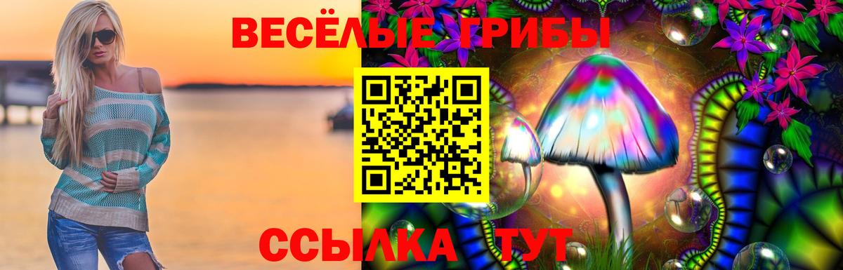 Галлюциногенные грибы Psilocybe  Галлюциногенные грибы GOLDEN TEACHER  Вход с VPN  Первоуральск 